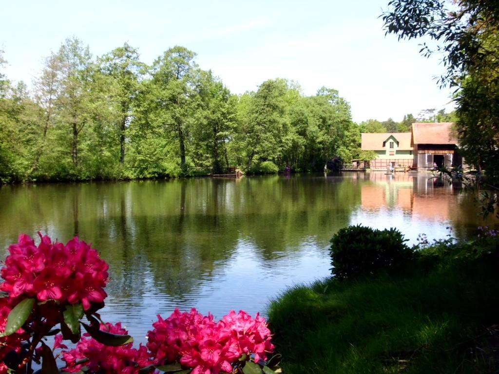 Hotel Hof Sudermuehlen Egestorf Exteriör bild